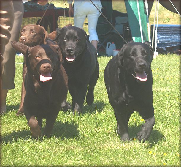 Winning breedersgroup